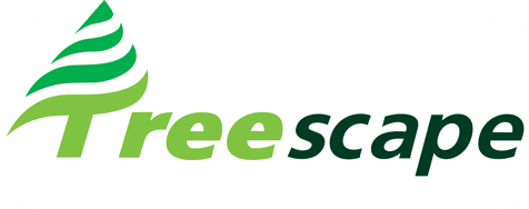 Treescape-logo-final-with-BG1