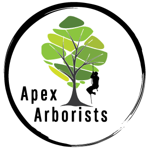 Apex Arborists Digital 300×300-02