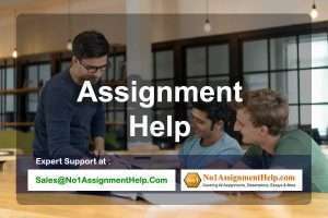 Assignment Help-1